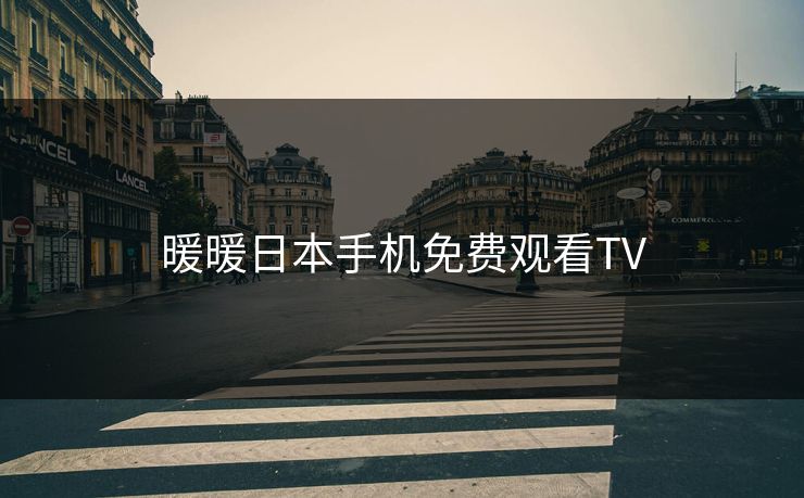 暖暖日本手机免费观看TV 暖暖日本手机免费观看TV