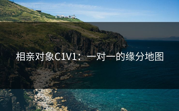 相亲对象C1V1:一对一的缘分地图 相亲对象C1V1:一对一的缘分地图
