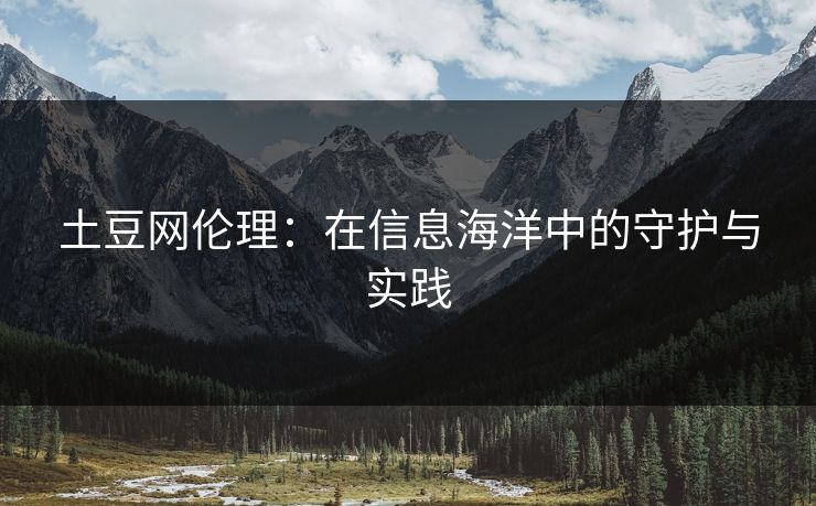 土豆网伦理：在信息海洋中的守护与实践