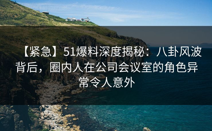 【紧急】51爆料深度揭秘：八卦风波背后，圈内人在公司会议室的角色异常令人意外