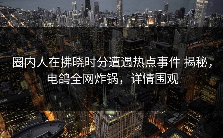 圈内人在拂晓时分遭遇热点事件 揭秘，电鸽全网炸锅，详情围观