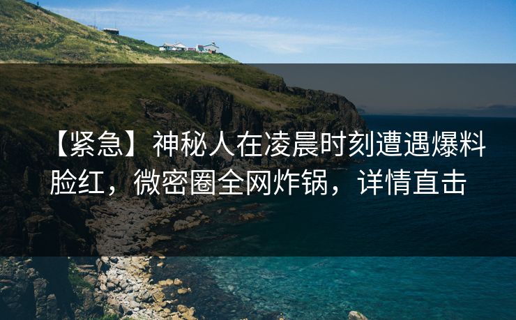【紧急】神秘人在凌晨时刻遭遇爆料 脸红,微密圈全网炸锅,详情直击 【紧急】神秘人在凌晨时刻遭遇爆料 脸红,微密圈全网炸锅,详情直击