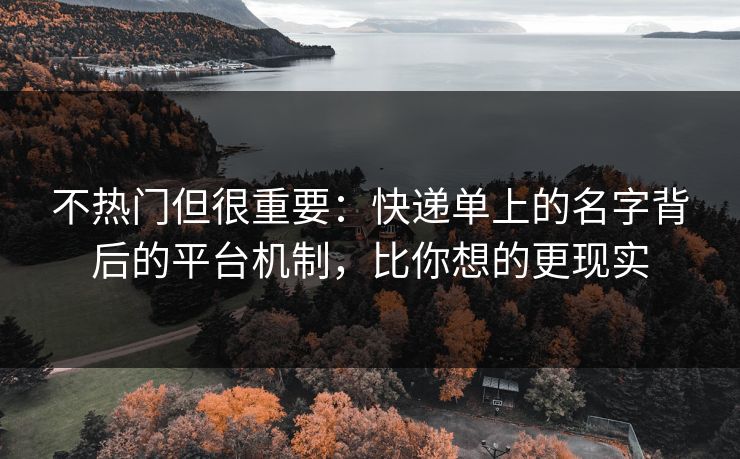 不热门但很重要:快递单上的名字背后的平台机制,比你想的更现实 不热门但很重要:快递单上的名字背后的平台机制,比你想的更现实